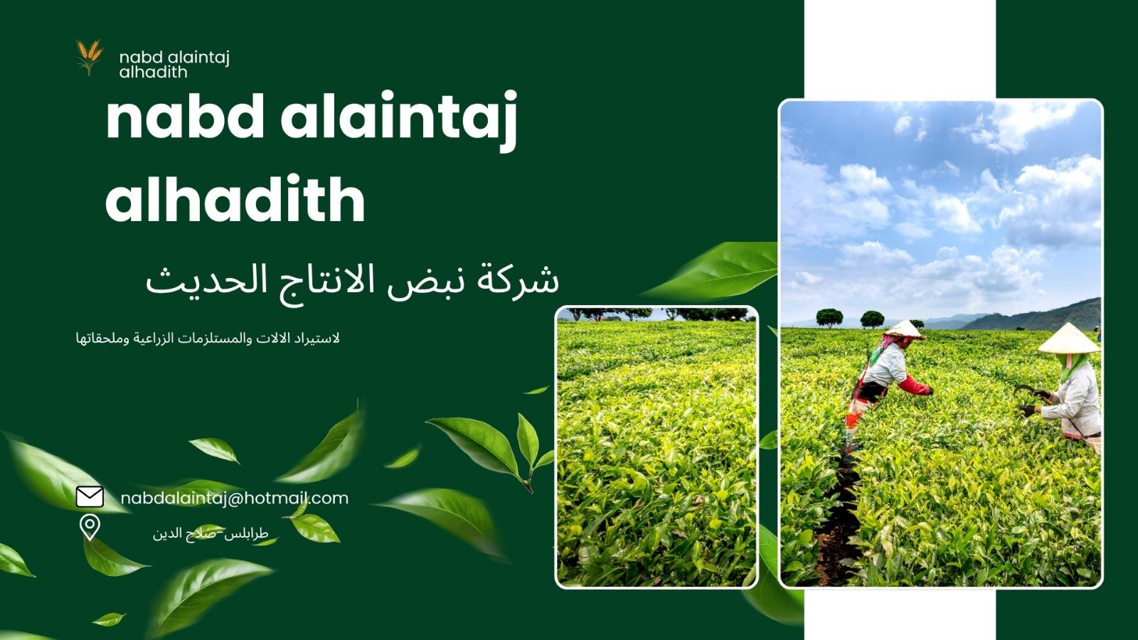 شعار الشركة